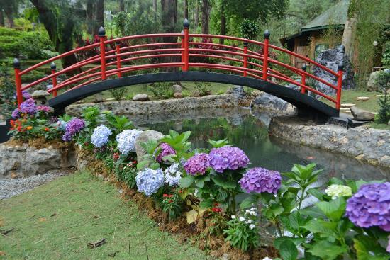 Jardín botánico